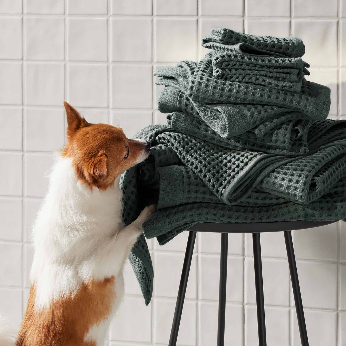 Dreamweave Waffle Hand Towels Set of 2 - Image 15