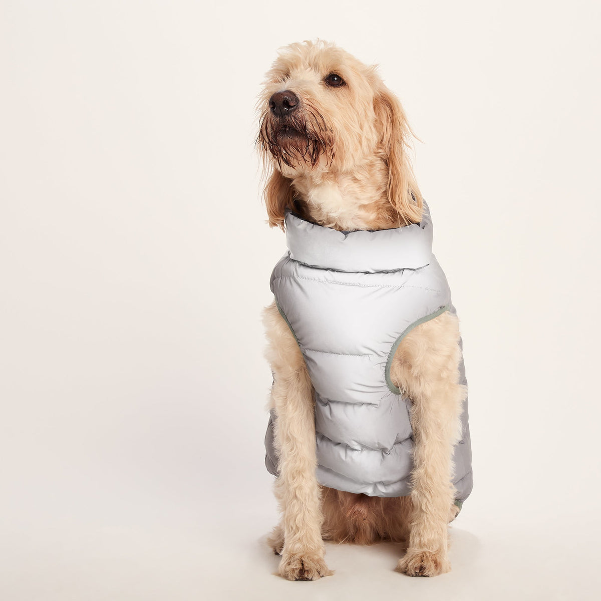 Fetch Padded Dog Coat L - Dark Indigo/Vanilla/Light Forest - Image 6