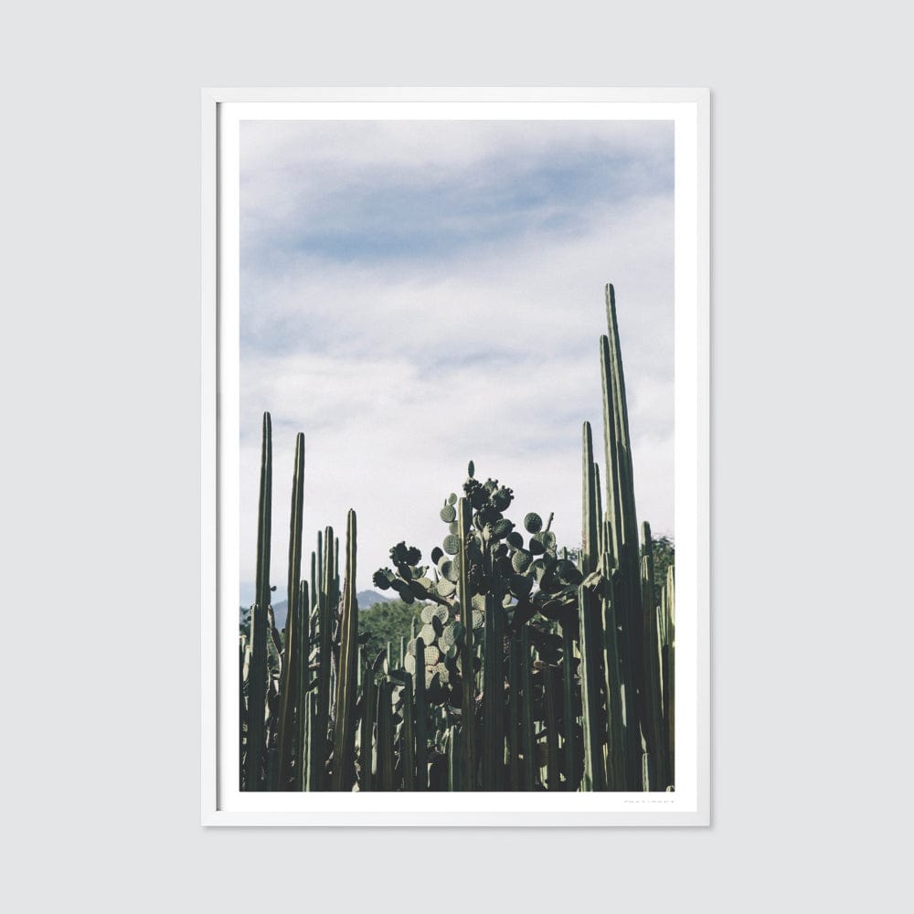 Oaxaca .03 - White Frame