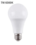 Wall Mounted LED Lamp E27 - YDG-5207481-white-7W